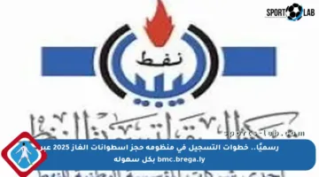 رسميًا.. خطوات التسجيل في منظومة حجز أسطوانات الغاز 2025 عبر bmc.brega.ly بكل سهولة